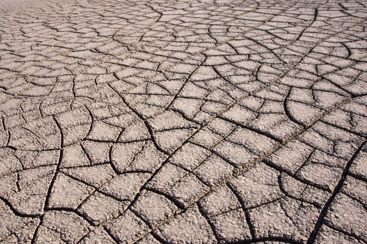 how to prepare for a drought